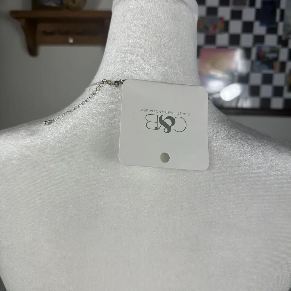 Christopher & Banks Silver‎ Tone Layered Long Necklace with Blue Accents